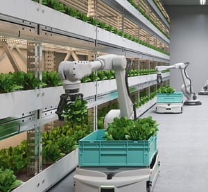 A white coloured Robot Arm Working in a Plant growing warehouse.Very Sterile surroundings.